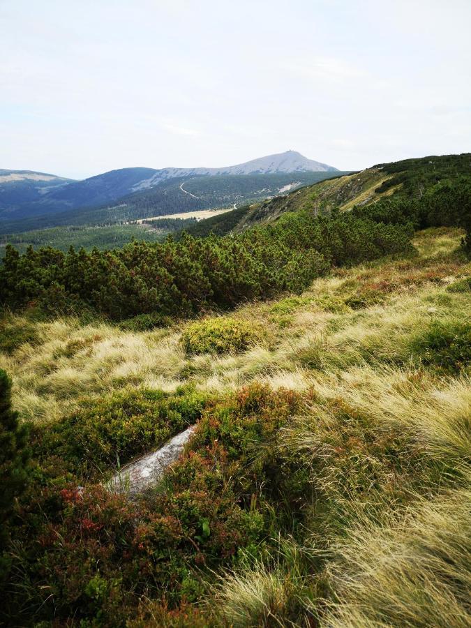 Apartament Malinowy Zakatek Triventi Mountain Residence Karpacz Eksteriør billede